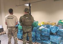 Ação conjunta apreende 1,5 tonelada de maconha na divisa entre MS e PR