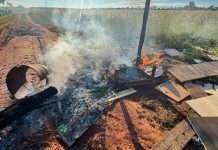 PM prende indígena após nova ocupação em fazenda de Amambai