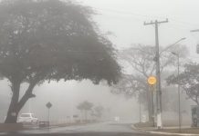 MS registra geada em 11 cidades e sensação de até -3°C