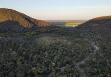 Para preservar o Pantanal, produtores rurais têm ações de conservação remuneradas por programa do Governo de MS
