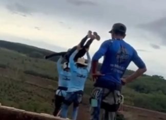 O que está acontecendo com a humanidade?