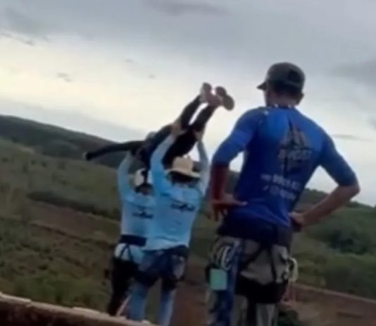 O que está acontecendo com a humanidade?