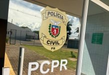 Homem é preso em flagrante pela Polícia Civil após arrombar e vandalizar escritório em Guaíra