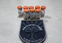 Naviraí – Polícia Militar Ambiental apreende medicamento de importação proibida durante fiscalização na BR-487
