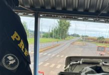PRF apreende carga de cigarros contrabandeados na BR-163 em Guaíra
