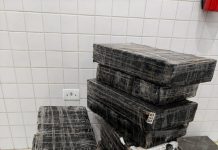 Guarda Municipal apreende 163 quilos de maconha após perseguição e prende suspeito em Guaíra