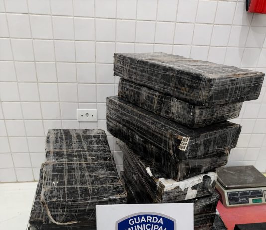 Guarda Municipal apreende 163 quilos de maconha após perseguição e prende suspeito em Guaíra
