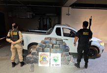 Ação integrada entre PF e PMPR apreende 500 kg de maconha após perseguição em Guaíra