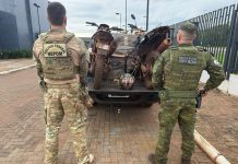 Ação integrada entre PF e BPFRON apreende 1.200 pacotes de cigarros contrabandeados em Guaíra