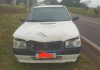 Carro atropela cavalo solto na PR-364, em Terra Roxa
