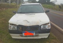Carro atropela cavalo solto na PR-364, em Terra Roxa