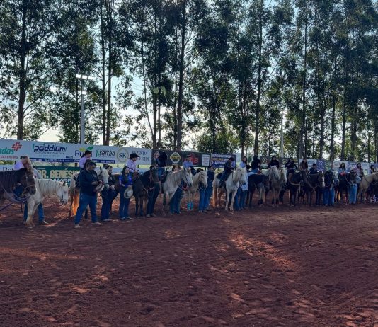 Prova dos 3 Tambores movimenta 1ª Cavalgada CPLFT 2026 em Iguatemi com mais de 43 inscritos