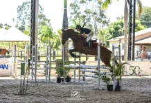 Amambaiense Vaniely lidera o ranking da Federação de Hipismo em Mato Grosso do Sul