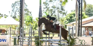 Amambaiense Vaniely lidera o ranking da Federação de Hipismo em Mato Grosso do Sul