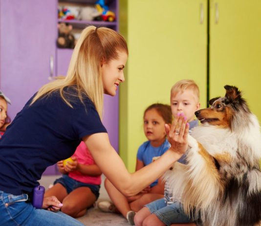 Pets na escola: estratégia pode contribuir para autorregulação e aprendizagem