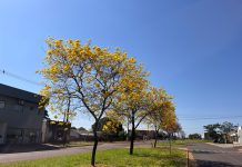 Cone Sul terá sábado de calor, tempo seco e máximas de até 30°C; veja a previsão para 10 municípios