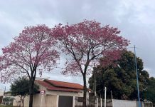 Cone Sul de MS terá semana de calor, temporais e queda brusca de temperatura; veja a previsão para 10 cidades e Guaíra (PR)