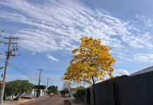 Frente fria muda o tempo em Mundo Novo, Japorã, Eldorado e cidades do Cone Sul nesta semana