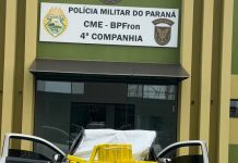 BPFRON apreende mais de 800 kg de maconha e prende homem em Umuarama