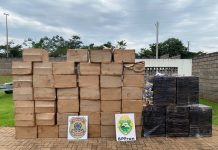 Polícia Federal apreendeu 25 mil pacotes de cigarro contrabandeado em casa abandonada na região de Porto Mendes