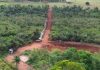 Governo de Mundo Novo finaliza estrada que liga comunidade do Jatinho ao Assentamento Pedro Ramalho