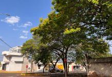 Mundo Novo, Japorã, Eldorado, Itaquiraí e região terão domingo de calor e chance de chuva