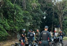 Força-tarefa apreende 11 motocicletas irregulares durante fiscalização em Mundo Novo