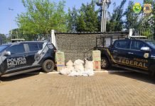 BPFron e PF apreenderam agrotóxicos e cigarros de origem estrangeira em Guaíra