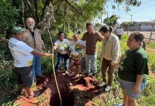Itaquiraí realizou plantio de ipês e distribui 600 mudas no Dia da Árvore