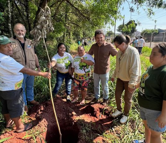 Itaquiraí realizou plantio de ipês e distribui 600 mudas no Dia da Árvore