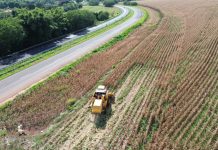 EPR Paraná prorroga inscrições para o projeto Cultivando Caminhos até 15 de setembro