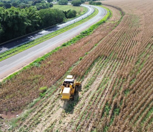 EPR Paraná prorroga inscrições para o projeto Cultivando Caminhos até 15 de setembro