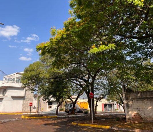 Mundo Novo tem sexta de calor até 33°C e alerta de tempestade com ventos de 80 km/h