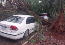 Temporal causa estragos e afeta mais de mil famílias em Guaíra