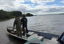 BPFron apreende 723 quilos de maconha durante ação conjunta com a Polícia Federal em Altônia-PR