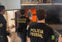 PF destrói mais de dez toneladas de drogas em Guaíra