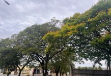 Mundo Novo, Eldorado, Japorã, Iguatemi e outros municípios têm semana de mudanças no clima