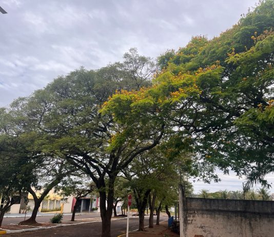 Mundo Novo, Eldorado, Japorã, Iguatemi e outros municípios têm semana de mudanças no clima