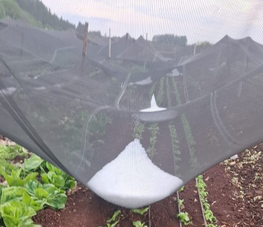 Granizo causa prejuízos em propriedade rural de Guaíra após temporal