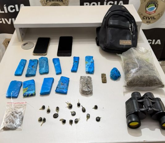 Polícia Civil de Eldorado deflagra 4ª fase da operação “Fenda Digital” contra grupo especializado em furtos de caminhonetes