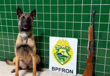 BPFRON apreende espingarda durante abordagem a ônibus interestadual em Guaíra