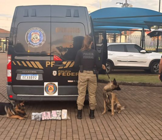 Mulher é presa por tráfico após cão da PF encontrar droga em ônibus em Guaíra