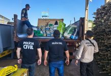 Polícia Civil incinerou quase 2 toneladas de drogas apreendidas em Iguatemi