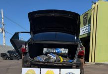 Ação do BPFRON, COMAV e Receita apreende 226 kg de maconha na PR-323 e detém dois adolescentes