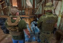 Ação integrada apreendeu 708 kg de maconha e 02 armas em chácara em Toledo