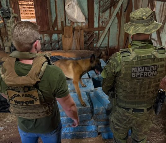 Ação integrada apreendeu 708 kg de maconha e 02 armas em chácara em Toledo