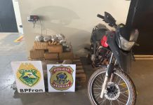 BPFRON e NEPOM/PF apreendem mais de 150 quilos de maconha em Guaíra