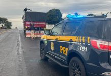 Caminhoneiro é preso com 150 mil maços de cigarros que saíram de Mundo Novo com destino ao Paraná