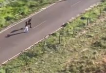 Mundo Novo: vídeo mostra menores de idade pegos pela polícia após perseguição