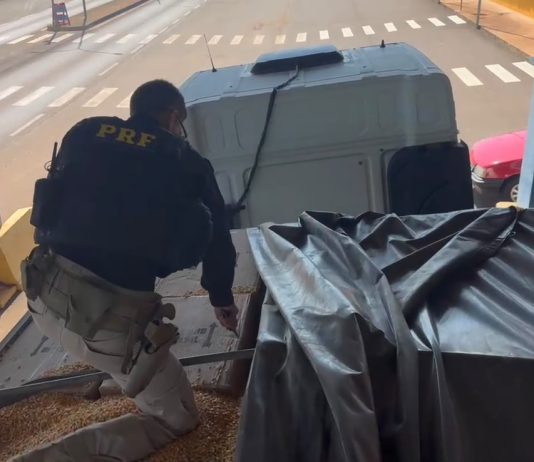 De Mundo Novo para o Paraná: PRF apreende 139 mil maços de cigarros e 53 kg de maconha na BR-163